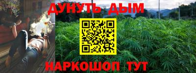 сатива Пенза