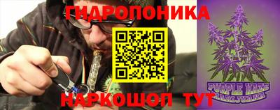 сатива Пенза