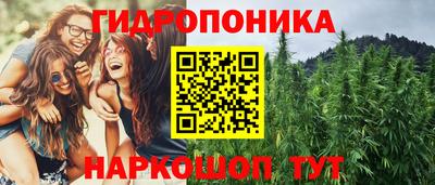 сатива Пенза