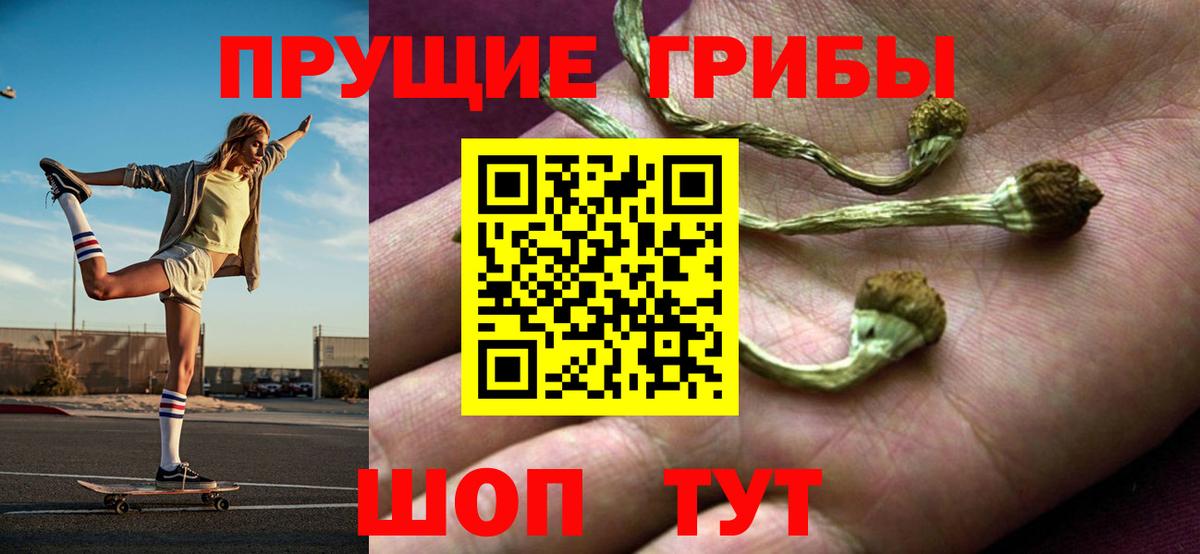 Галлюциногенные грибы Cubensis Реж